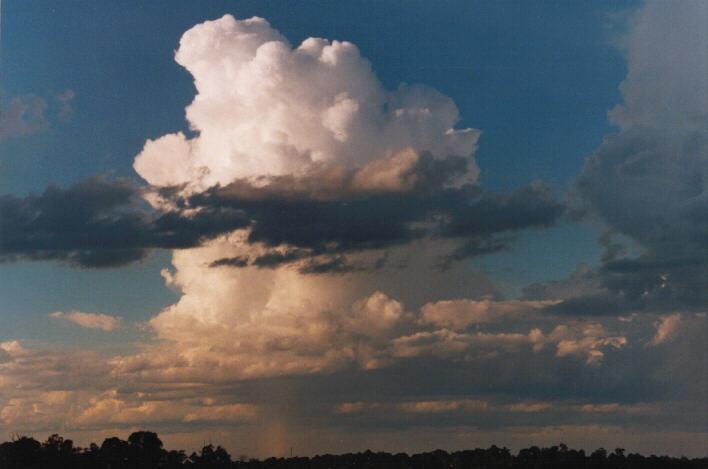 Cumulus Cloud - Late Afternoon  - Schofi